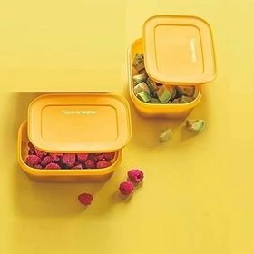 Tupperware Alaska 2x450 ml Turuncu Buzluk Saklama Kabı