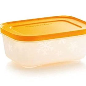 Tupperware Alaska 2x450 ml Turuncu Saklama Kabı