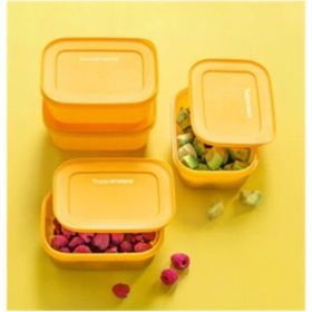 Tupperware Alaska 450 ml Turuncu Saklama Kabı