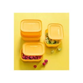 Tupperware Alaska 450 ml Turuncu Saklama Kabı