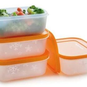 Tupperware Alaska 4'lü Saklama Kabı
