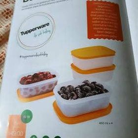 Tupperware Alaska 4'lü Saklama Kabı