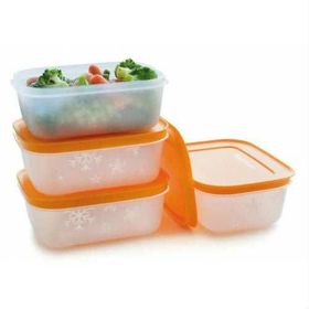 Tupperware Alaska 4'lü Saklama Kabı
