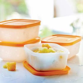 Tupperware Alaska 4'lü Saklama Kabı