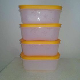 Tupperware Alaska 4'lü Saklama Kabı
