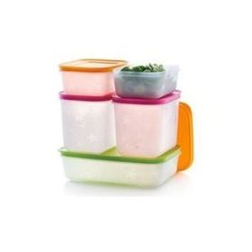 Tupperware Alaska 5'li Buzluk Saklama Kabı