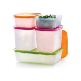 Tupperware Alaska 5'li Buzluk Saklama Kabı