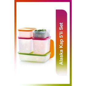 Tupperware Alaska 5'li Renkli Saklama Kabı