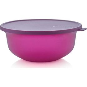 Tupperware Aloha 2 lt Saklama Kabı