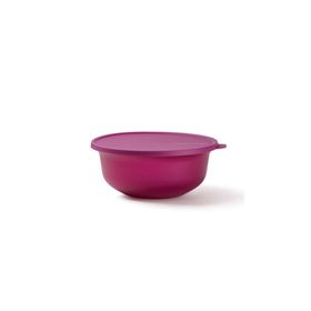 Tupperware Aloha 2 lt Saklama Kabı