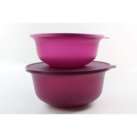 Tupperware Aloha 2'li 450 ml Saklama Kabı