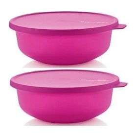 Tupperware Aloha 2'li 450 ml Saklama Kabı