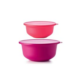Tupperware Aloha 2'li 450 ml Saklama Kabı