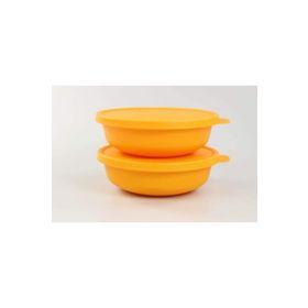 Tupperware Aloha 2'li Turuncu Saklama Kabı