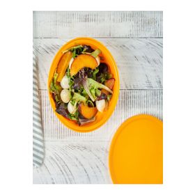 Tupperware Aloha 450 ml Saklama Kabı