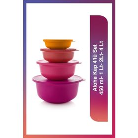 Tupperware Aloha 4'lü Saklama Kabı