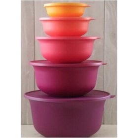 Tupperware Aloha 5'li Saklama Kabı