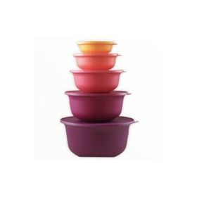 Tupperware Aloha 5'li Saklama Kabı