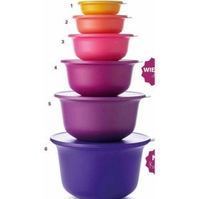 Tupperware Aloha 6'lı Saklama Kabı