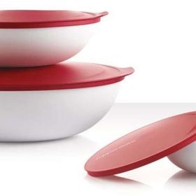 Tupperware Berrak 4'lü Bambu Servis Kabı Seti