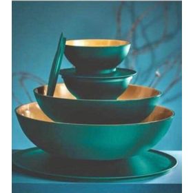 Tupperware Berrak Gold Yeşil 5'li Saklama Kabı