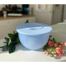 Tupperware Buz Mavisi 4,3 lt Saklama Kabı