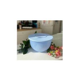 Tupperware Buz Mavisi 4,3 lt Saklama Kabı