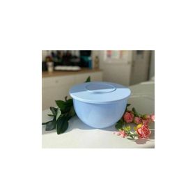Tupperware Buz Mavisi 4,3 lt Saklama Kabı
