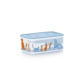 Tupperware Desenli 2.9-1.1 lt Saklama Kabı Seti