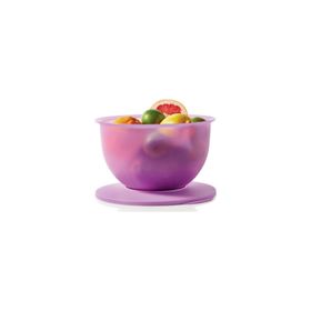 Tupperware Eko 4.3 lt Mor Saklama Kabı