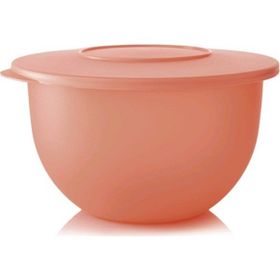 Tupperware Eko Kap 2.5 lt Saklama Kabı