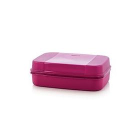 Tupperware F20 Büyük Saklama Kutusu