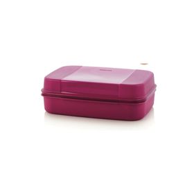 Tupperware F20 Büyük Saklama Kutusu