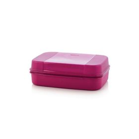 Tupperware F20 Büyük Saklama Kutusu