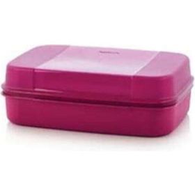 Tupperware F20 Büyük Saklama Kutusu