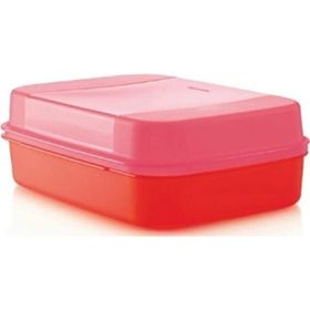 Tupperware F20 Büyük Saklama Kutusu