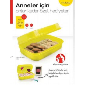 Tupperware F20 Kurabiye Saklama Kabı