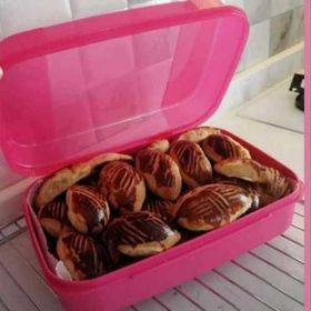 Tupperware F20 Kurabiye Saklama Kabı