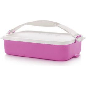 Tupperware Gezgin 900 ml Saklama Kabı