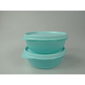 Tupperware Hit-Parade 300 ml Saklama Kabı