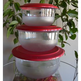 Tupperware Kristalin 4'lü Saklama Kabı