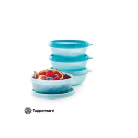 Tupperware Mavi Kapaklı 4'lü Saklama Kabı