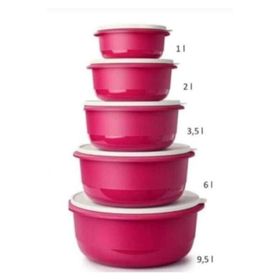 Tupperware Mega 5'li Saklama Kabı