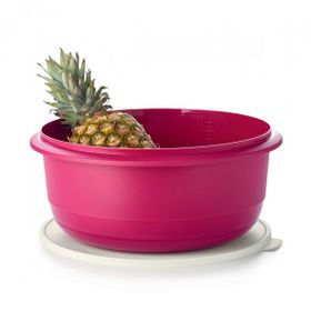 Tupperware Miksim 9.5 lt Mayalama Saklama Kabı