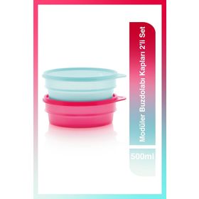 Tupperware Modüler 2x500 ml Saklama Kabı
