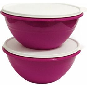Tupperware Muciye 2x2.4 lt Saklama Kabı