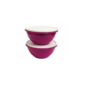 Tupperware Muciye 2x2.4 lt Saklama Kabı