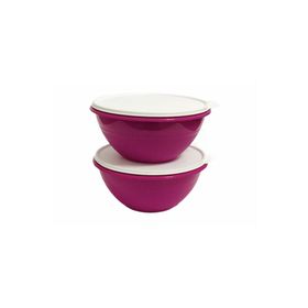 Tupperware Muciye 2x2.4 lt Saklama Kabı