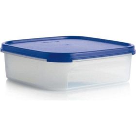 Tupperware Oval 1.1 lt Kuru Gıda Saklama Kabı