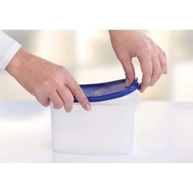 Tupperware Oval 1.1 lt Kuru Gıda Saklama Kabı